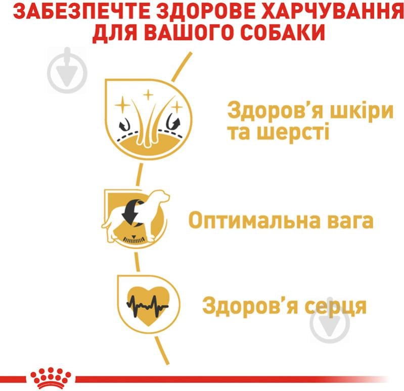 Корм сухий для дорослих собак для середніх порід Royal Canin COCKER ADULT (Кокер Едалт), 3 кг (свійська птиця, рис, - фото 5