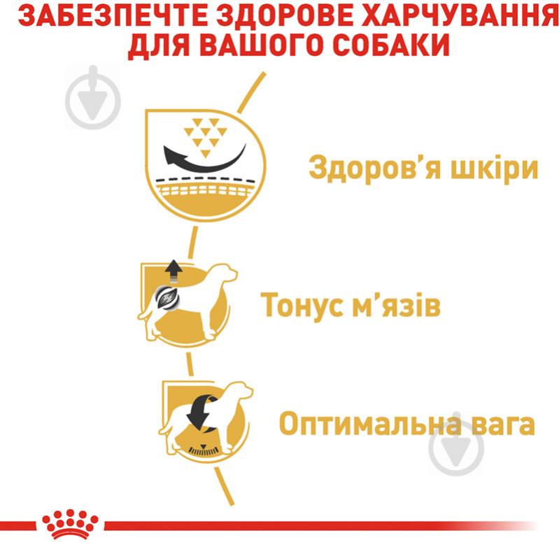 Корм сухой для взрослых собак для средних пород Royal Canin PUG ADULT 0,5 кг (домашняя птица, рис, кукуруза) 500 г - фото 5