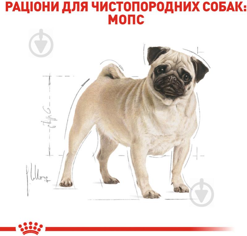 Корм сухий для дорослих собак для середніх порід Royal Canin PUG ADULT 0,5 кг (свійська птиця, рис, кукурудза) 500 г - фото 3