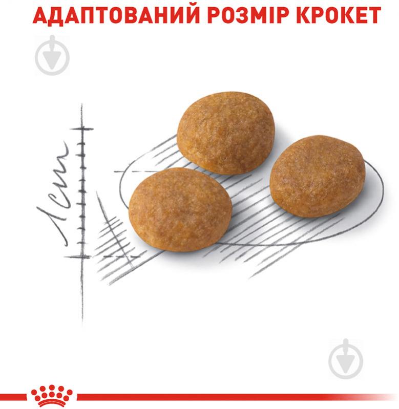 Корм сухий для дорослих котів, вибагливих до аромату корму, віком від 12 місяців до 7 років Royal Canin Aroma Exi - фото 3