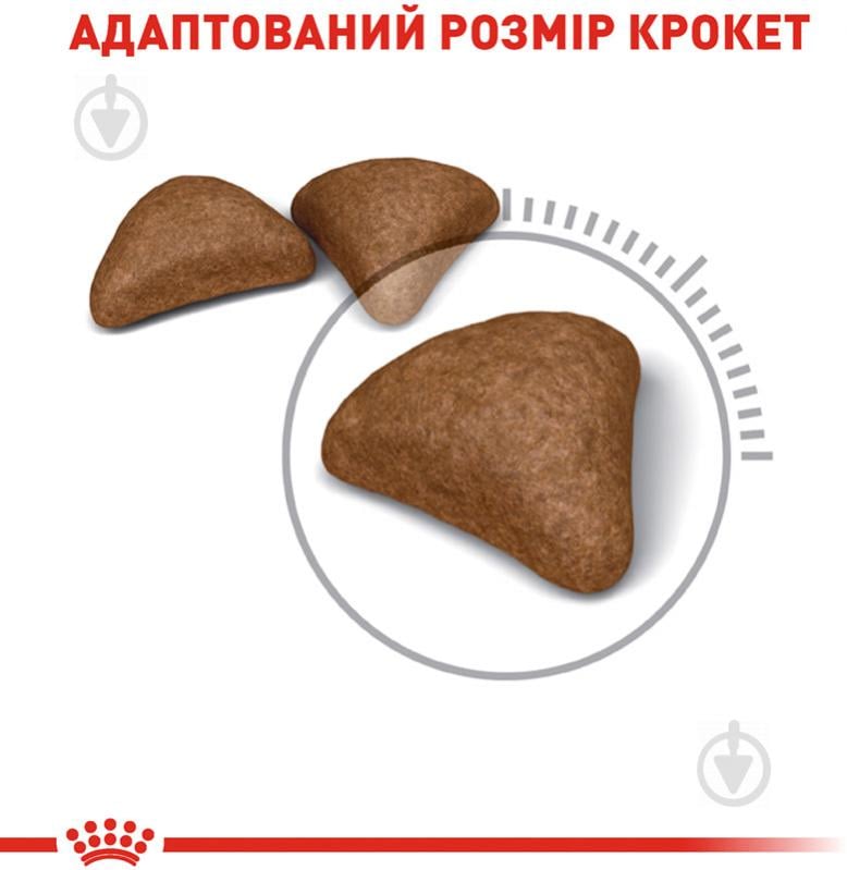 Корм сухий для дорослих котів для виведення грудочок шерсті Royal Canin Hairball Care домашня птиця, кукурудза, рис 400 г - фото 3