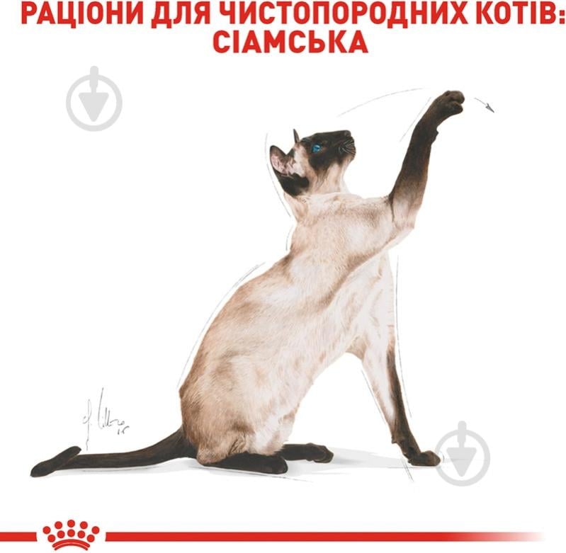 Корм сухой для взрослых кошек сиамской породы Royal Canin Siamese Adult домашняя птица, кукуруза, рис 400 г - фото 3