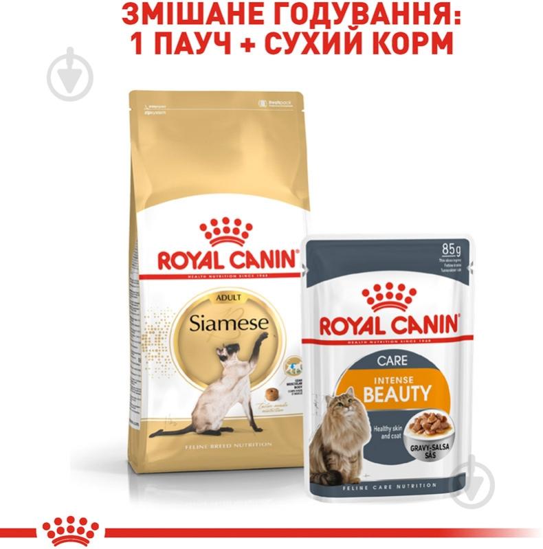 Корм сухой для взрослых кошек сиамской породы Royal Canin Siamese Adult домашняя птица, кукуруза, рис 400 г - фото 4