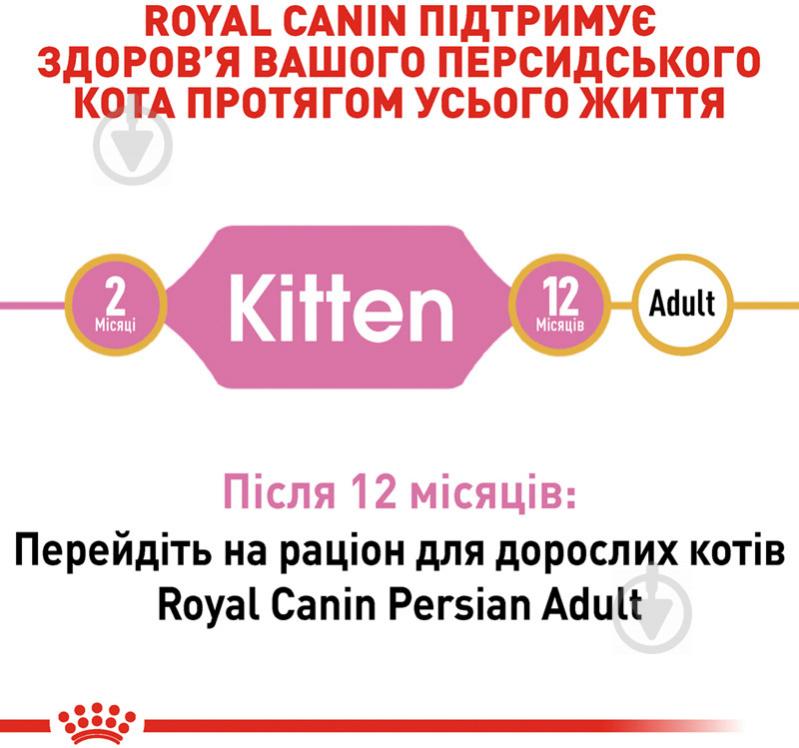 Корм сухой для котят персидской породы Royal Canin Persian Kitten домашняя птица, кукуруза 400 г - фото 4