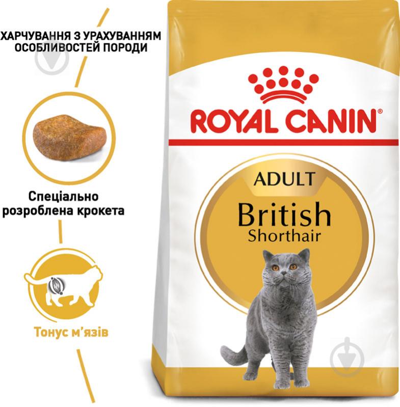 Корм сухой для взрослых кошек породы британская короткошерстная Royal Canin British Shorthair Adult птица 400 г - фото 2