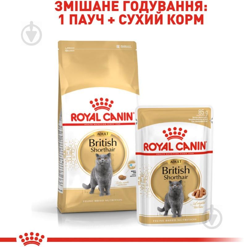 Корм сухой для взрослых кошек породы британская короткошерстная Royal Canin British Shorthair Adult птица 400 г - фото 6