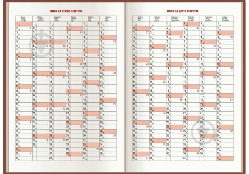 Дневник датированный синий линия Optima Lizard A5 2021 O25242-02 - фото 3