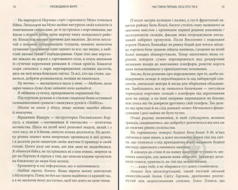 Книга Річард К. Морган «Пробуджені фурії» 978-966-948-238-9 - фото 3