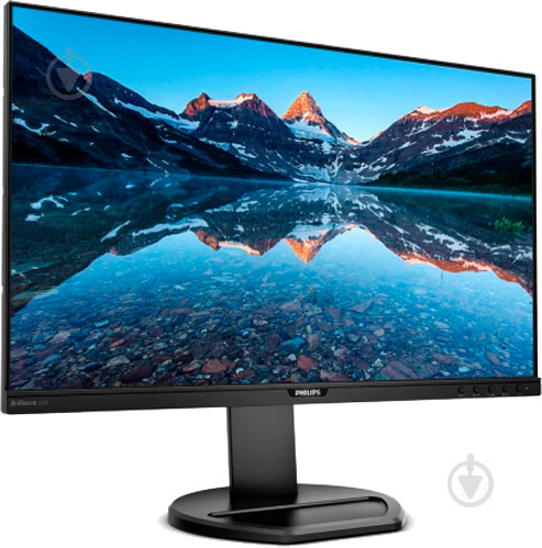 Монітор Philips 25" (252B9/00) - фото 2