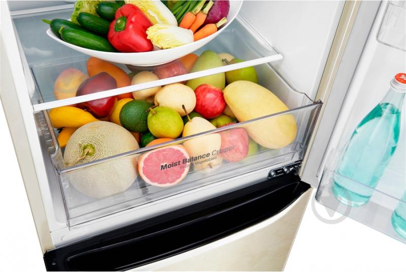 Холодильник LG GA-B389SECZ - фото 6