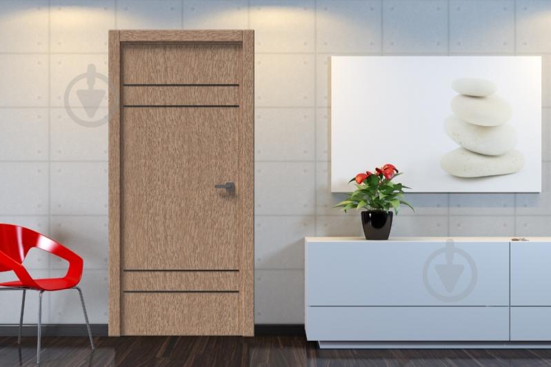 Дверное полотно IN WOOD ET-03 ПГ с черным молдингом и кромкой 700 мм рустик золотой - фото 2