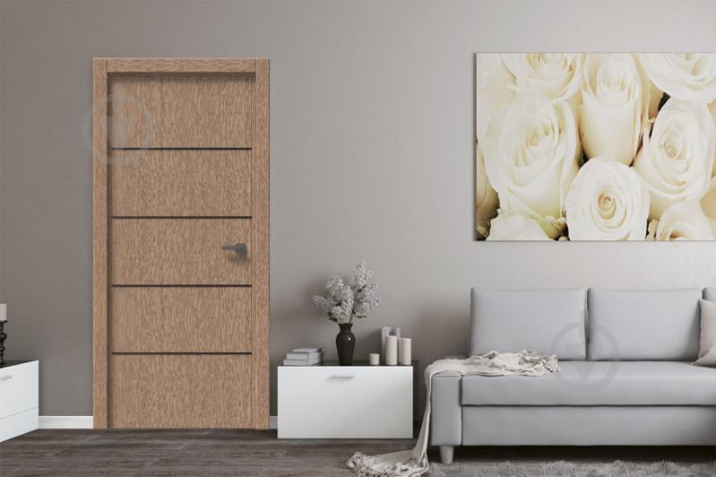 Дверное полотно IN WOOD ET-04 ПГ с черным молдингом и кромкой 800 мм рустик золотой - фото 2 Дверное полотно IN WOOD ET-04 ПГ с черным молдингом и кромкой 800 мм рустик золотой - фото 2