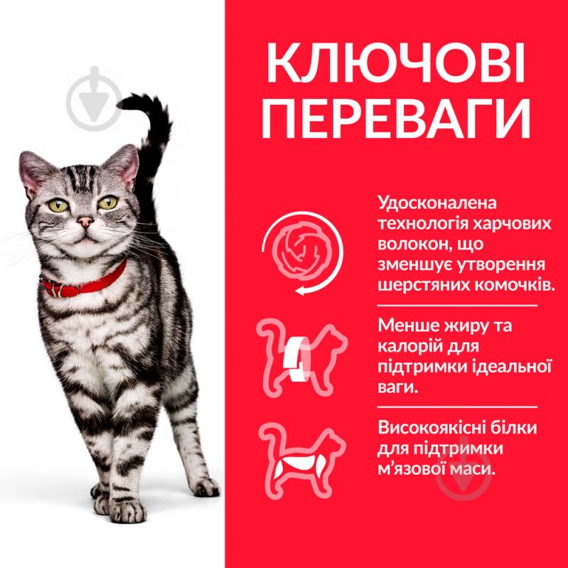 Корм Hill's Science Plan Adult Hairball&Indoor курица 300 г - фото 2