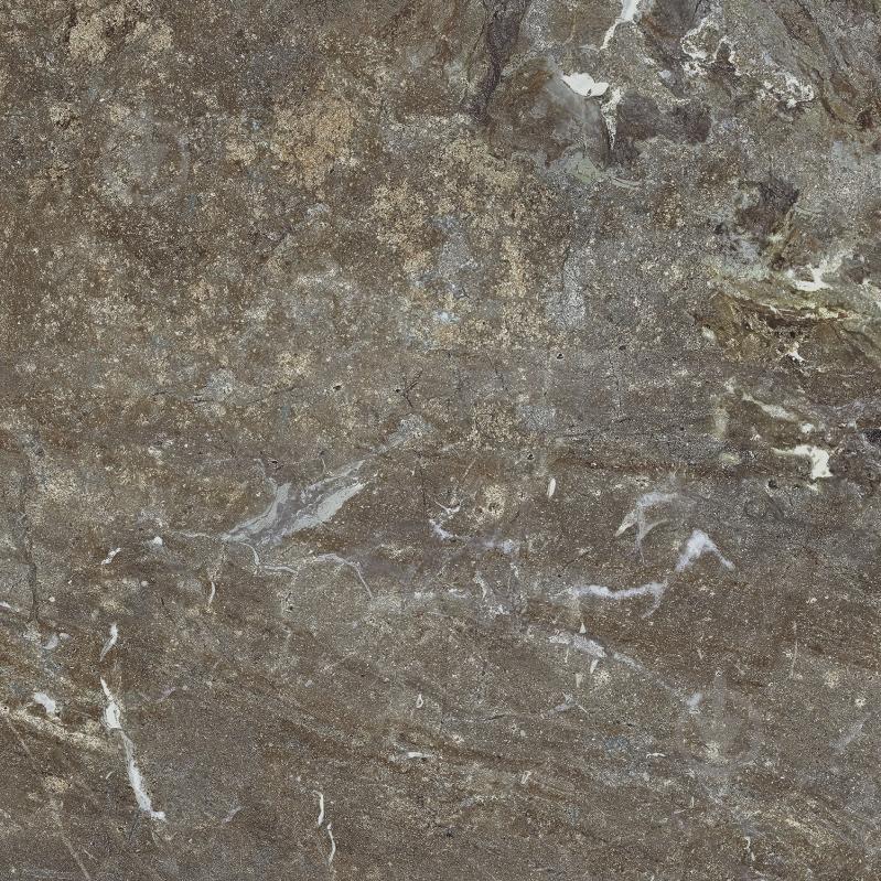 Плитка Allore Group Snake stone Bronze F PC R Sugar 60x60 см - фото 5