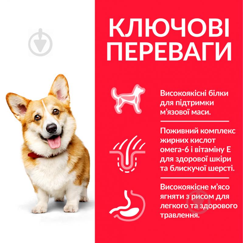 Корм для малых пород Hill's SP Adult S&M ягненок и рис 15 кг 1,5 кг - фото 3