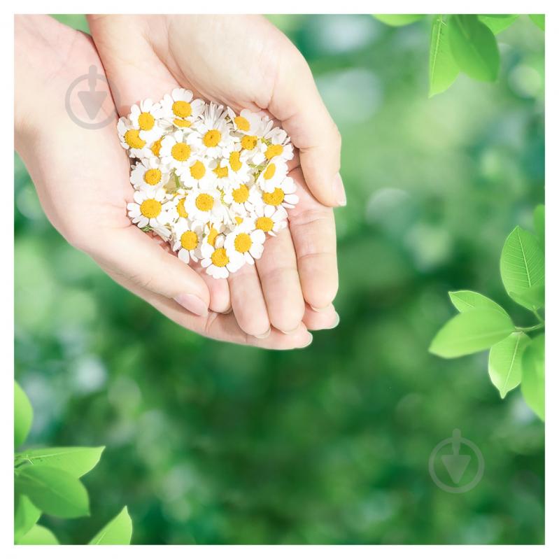 Прокладки гігієнічні Naturella Ultra Calendula Tenderness Duo normal 20 шт. - фото 7