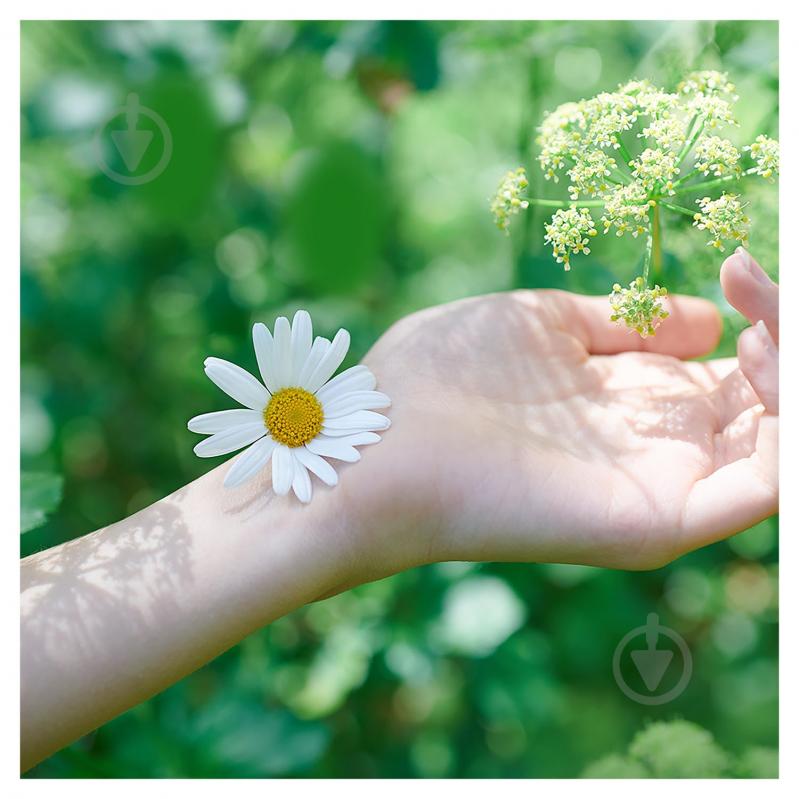Прокладки гігієнічні Naturella Ultra Calendula Tenderness Duo normal 20 шт. - фото 6