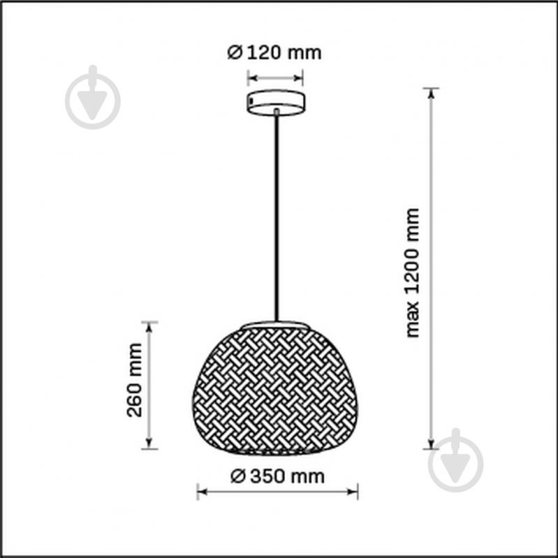 Светильник подвесной Goldlux Zanzibar 1x20 Вт /E27 черный 329219 - фото 4