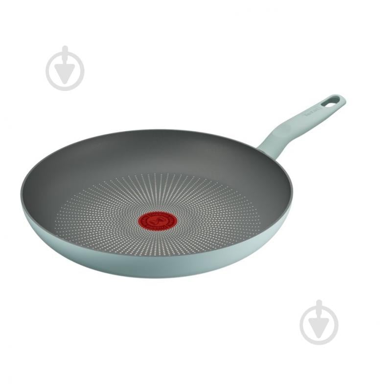 Сковорода Tefal Halo Eucalyptus 30 см G0160702