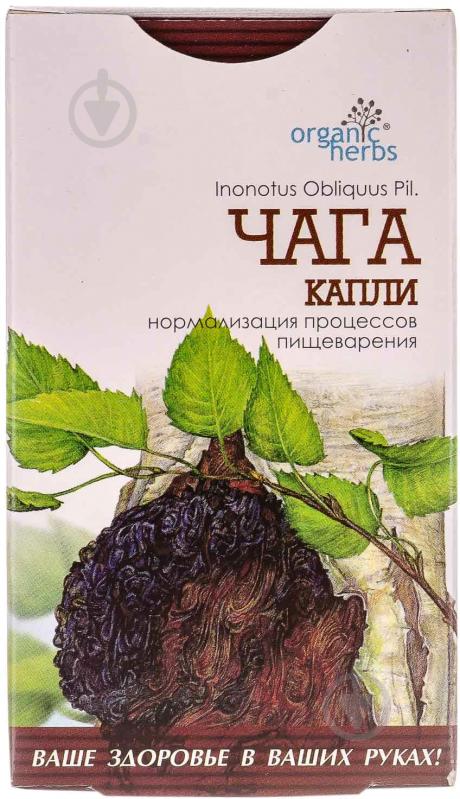 Добавка дієтична Фітобіотехнологіі Чага краплі 50 мл - фото 2