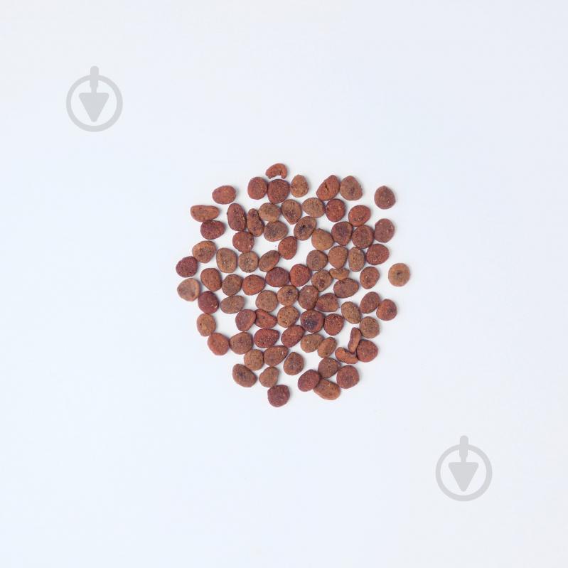 Корм сухой для котов Carnilove True Fresh с курицей 1,8 кг - фото 2 Корм сухой для котов Carnilove True Fresh с курицей 1,8 кг - фото 2