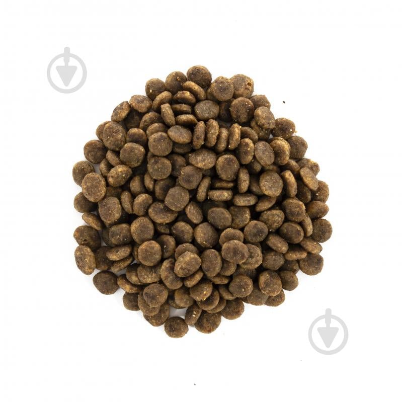 Корм сухий для котів Brit Care Grain Free Sensitive HDigestion & DeliCaree Taste з чутливим травленням індичка та - фото 2 Корм сухий для котів Brit Care Grain Free Sensitive HDigestion & DeliCaree Taste з чутливим травленням індичка та - фото 2