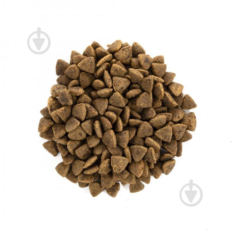 Корм сухой для котов Brit Care Grain Free Adult Activity Support живущих на улице индейка и курица 7 кг - фото 2 Корм сухой для котов Brit Care Grain Free Adult Activity Support живущих на улице индейка и курица 7 кг - фото 2