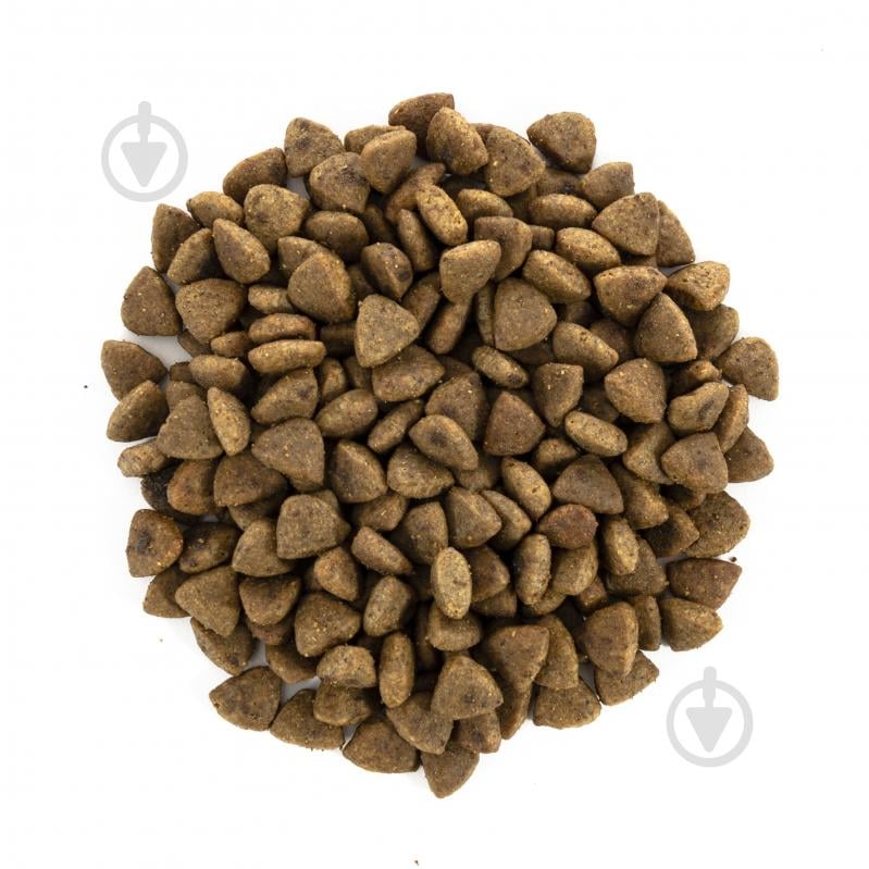 Корм сухий для котів Brit Care Grain Free Haircare Healthy & Shiny Coat догляд за шкірою і шерстю лосось та курка 7 кг - фото 2 Корм сухий для котів Brit Care Grain Free Haircare Healthy & Shiny Coat догляд за шкірою і шерстю лосось та курка 7 кг - фото 2