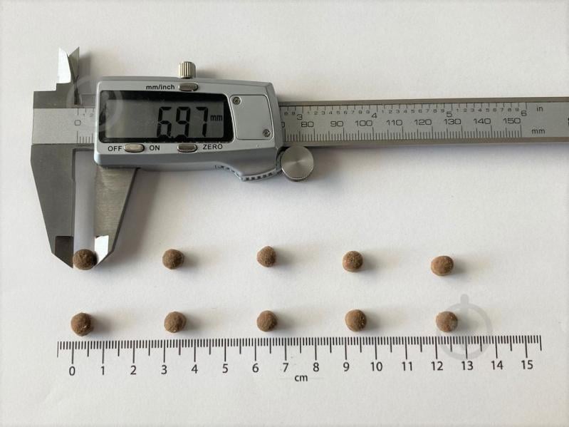 Корм сухой для котов Brit Care by Nutrition Kitten Gentle Digestion Strong Immunity с лососем 7 кг - фото 3