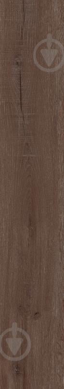 Плитка Allore Group Newcastle Brown F PR R Mat 19,8x120 см - фото 2