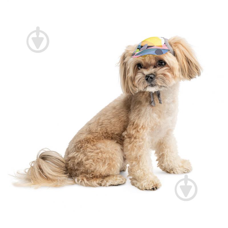 Кепка Pet Fashion Tony для собак L - фото 2 Кепка Pet Fashion Tony для собак L - фото 2
