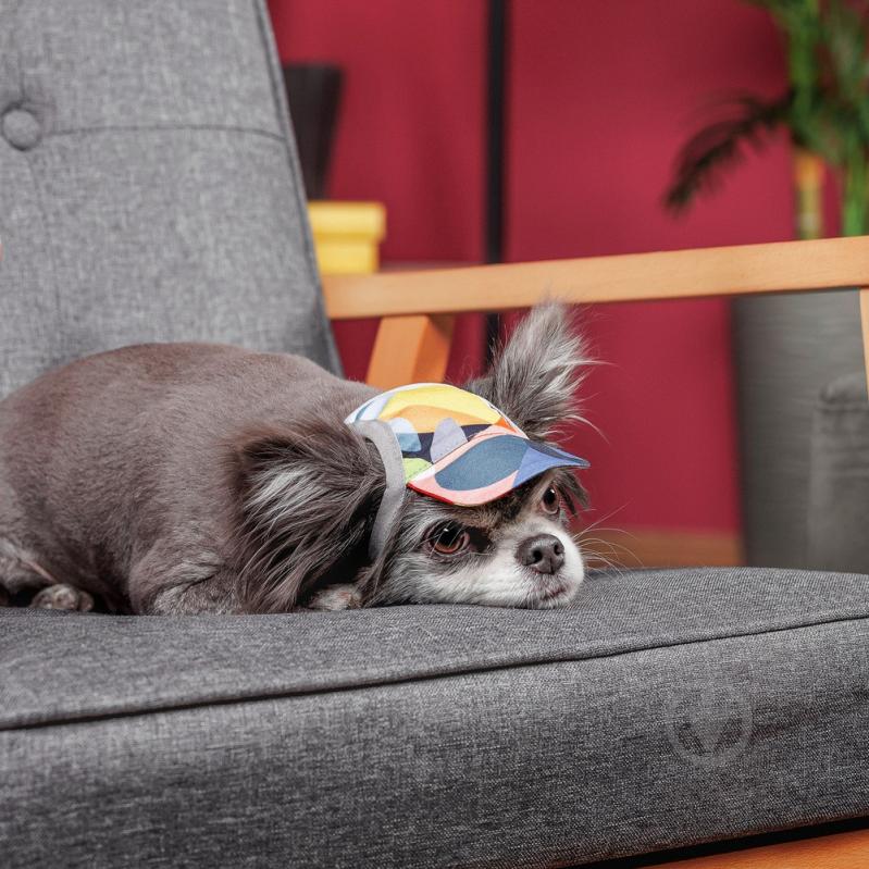 Кепка Pet Fashion Tony для собак L - фото 3 Кепка Pet Fashion Tony для собак L - фото 3