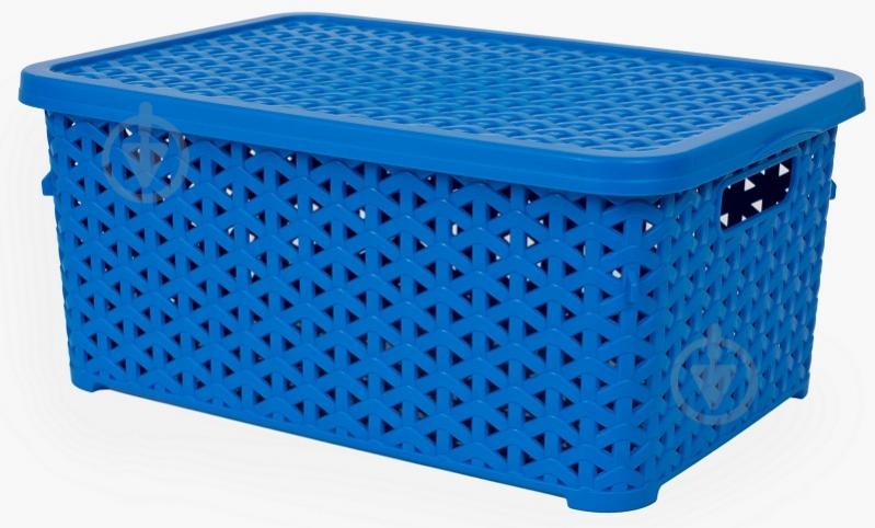 Кошик для зберігання Diomedea блакитний К12-439 6 л 130x196x297 мм - фото 1