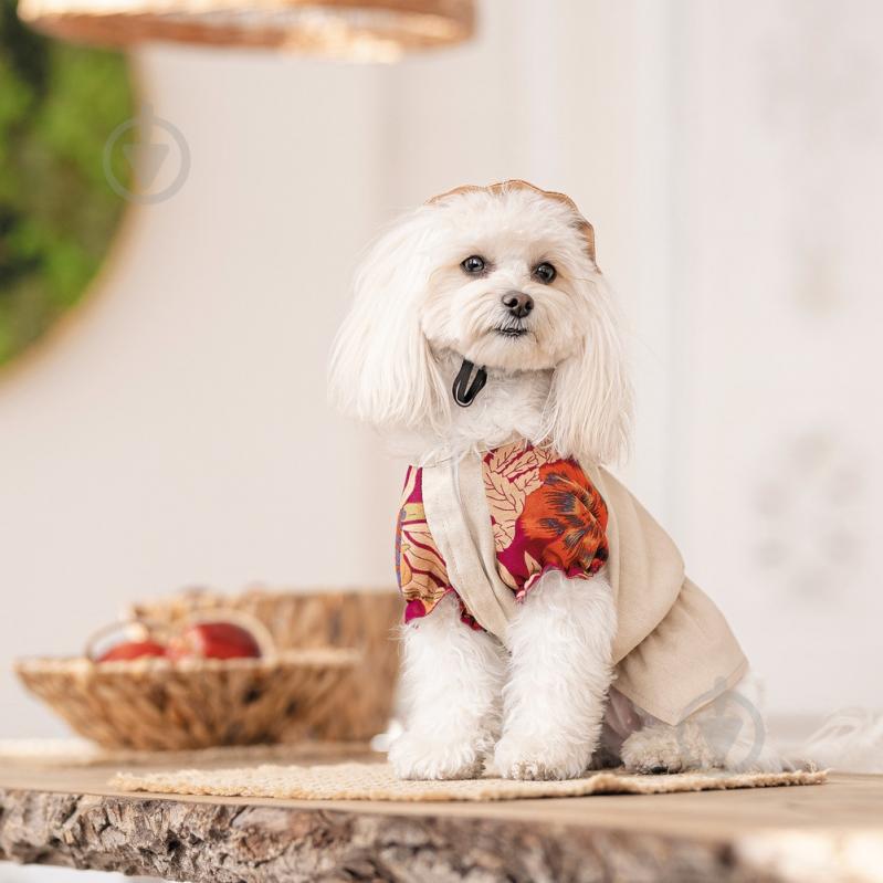 Рубашка Pet Fashion Соломия для собак девочка S бежевая - фото 4 Рубашка Pet Fashion Соломия для собак девочка S бежевая - фото 4