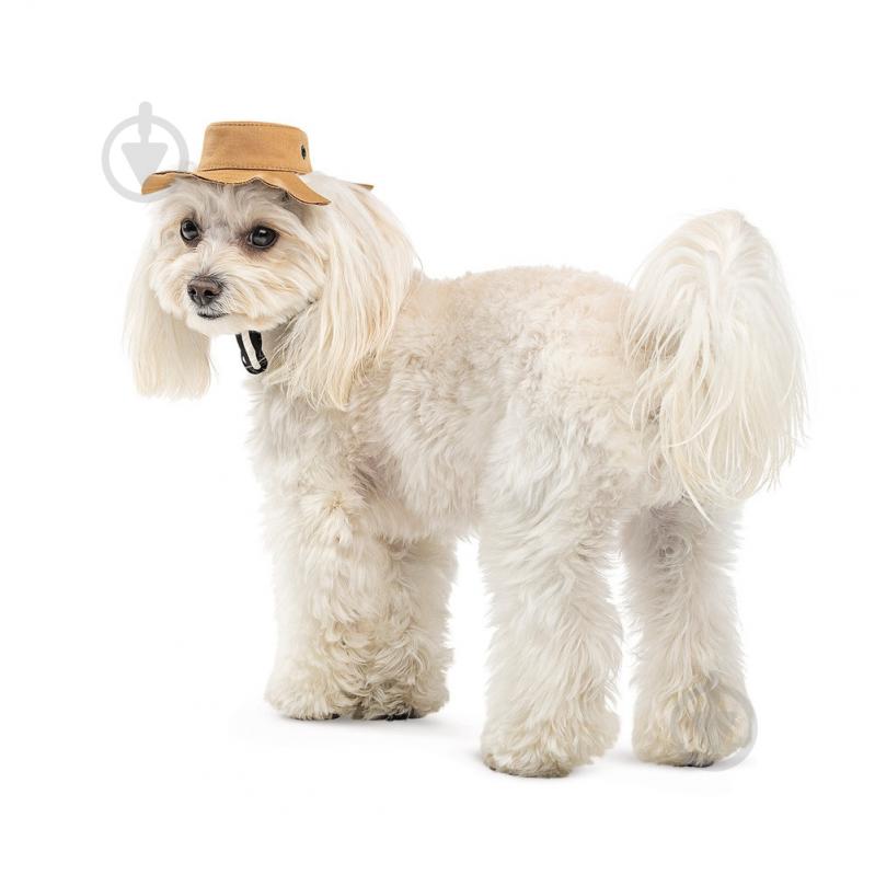 Панамка Pet Fashion Ava для собак L бежевая - фото 2