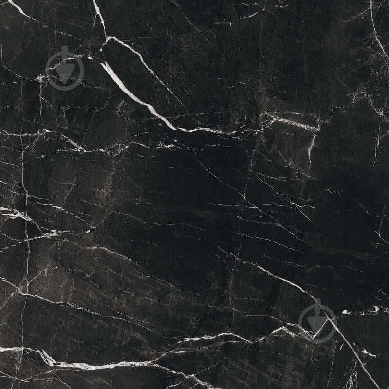 Плитка Allore Group Marquina Black F P NR Mat 47x47 см - фото 1