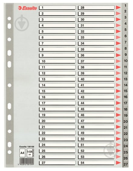 Розділювач цифровий РР А4 1-54 Esselte - фото 1