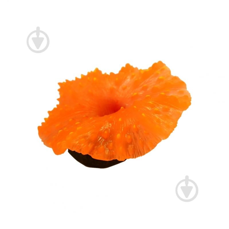 Декорация Deming Дискосома - фото 1