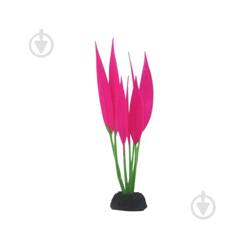 Декорация Deming Гигрофила - фото 3