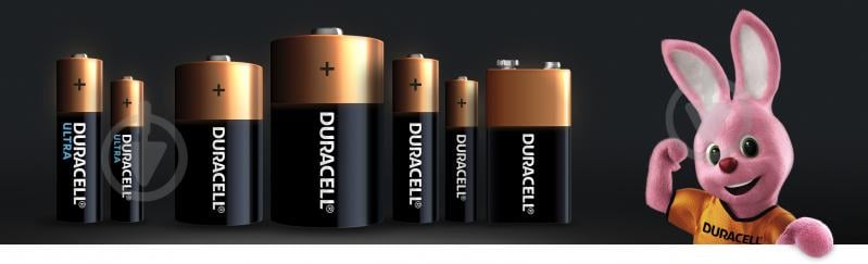 Батарейки Duracell MN2400 AAA (мизинчиковые) 2 шт. (81550794) - фото 11