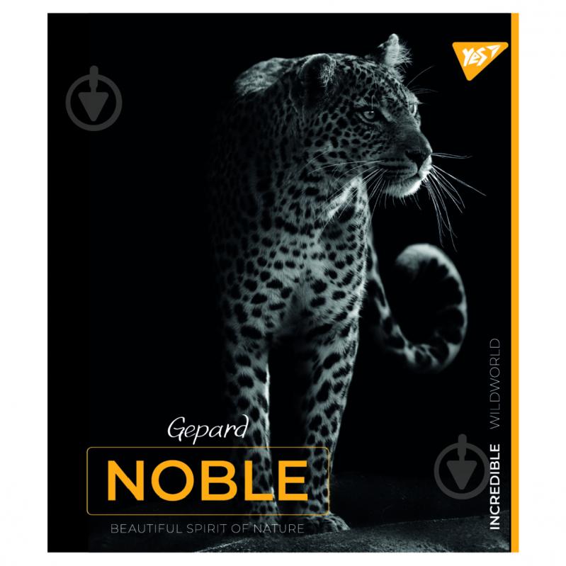 Зошит шкільний А5 48 клітинка Noble YES - фото 3