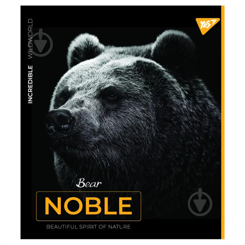 Зошит шкільний А5 48 клітинка Noble YES - фото 4