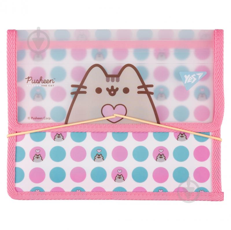 Папка на резинке Pusheen Heart В5 YES 492209 - фото 1