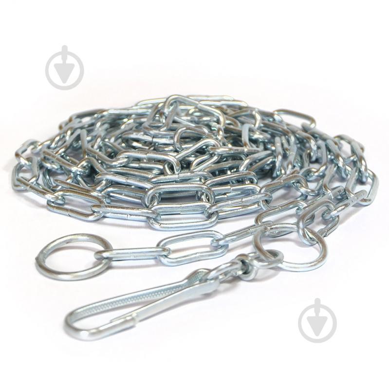 Цепь Лорі Ц5/500 5 м - фото 1