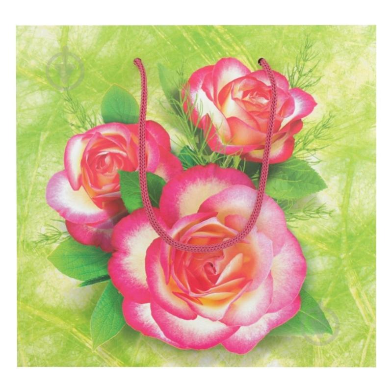 Пакет бумажный В 20x29x8 - фото 1