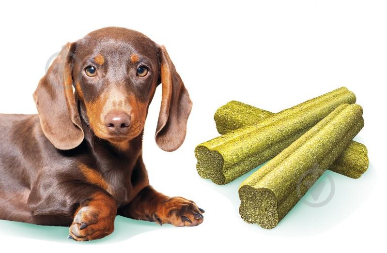 Лакомство для собак Brit Mini Treats Fresh Breath для свежего дыхания и здоровья зубов 7 шт. 120 г - фото 2 Лакомство для собак Brit Mini Treats Fresh Breath для свежего дыхания и здоровья зубов 7 шт. 120 г - фото 2