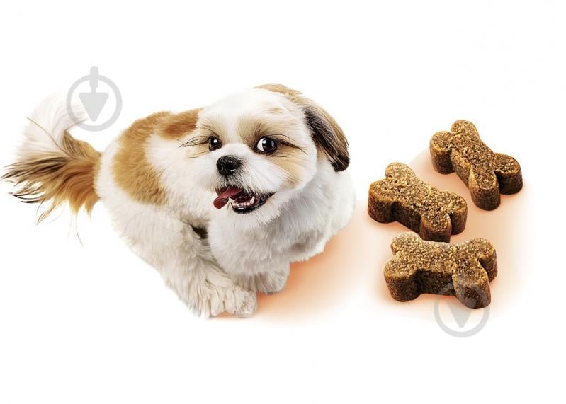 Ласощі для собак Brit Mini Treats Think для підтримки розумових здібностей з індичкою (смак арахісового масла) 50 г - фото 2 Ласощі для собак Brit Mini Treats Think для підтримки розумових здібностей з індичкою (смак арахісового масла) 50 г - фото 2