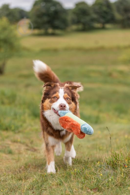 Игрушка Trixie Бабочка с шелестом 22 см серый (361001_ord) - фото 5 Игрушка Trixie Бабочка с шелестом 22 см серый (361001_ord) - фото 5