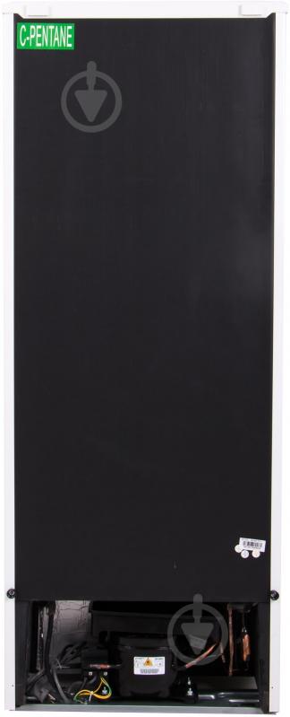 Холодильник Candy CCDS 5142W - фото 4