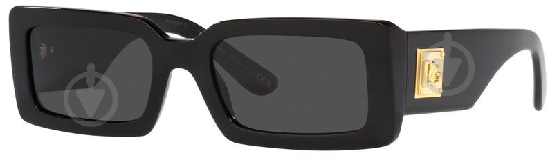 Очки солнцезащитные Dolce&Gabbana DG 4416 501/87 53 - фото 1